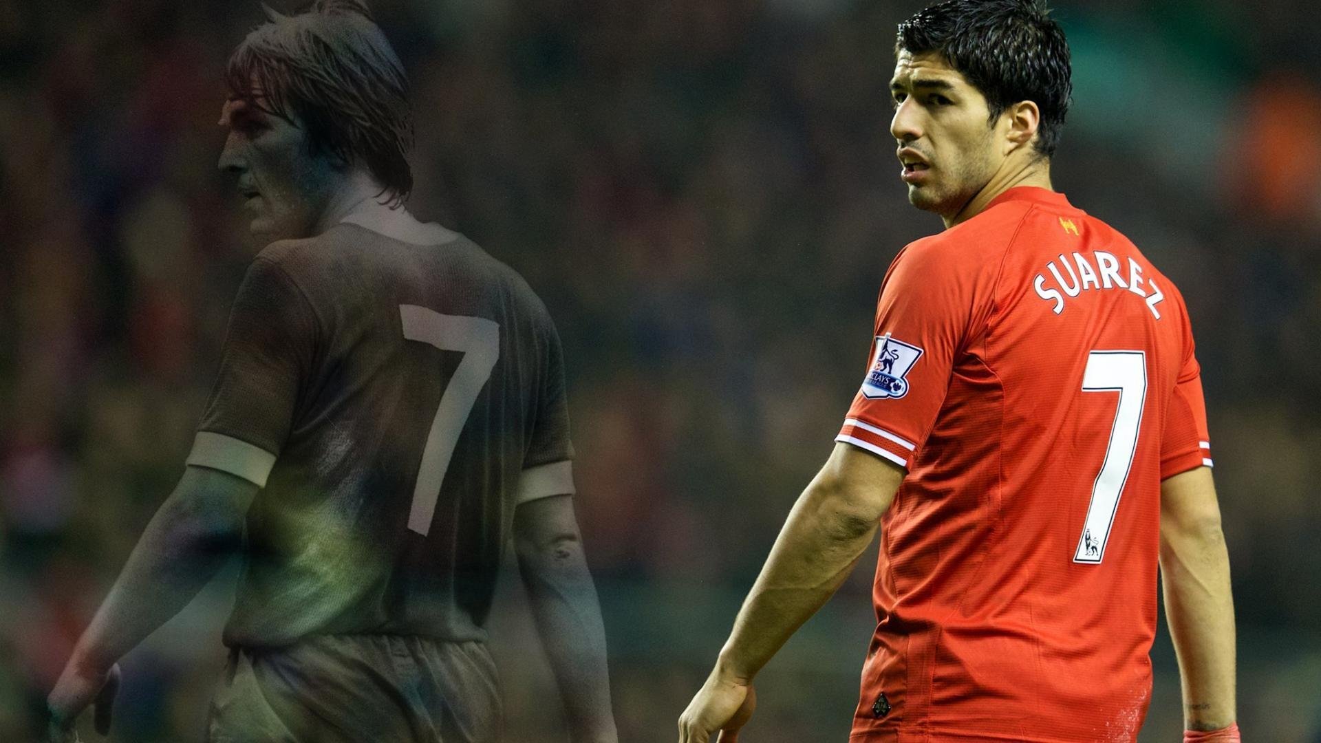 申花引援最新消息